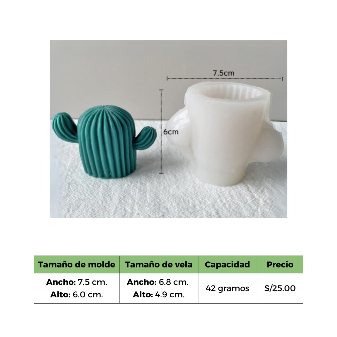 CACTUS 2 MOLDE