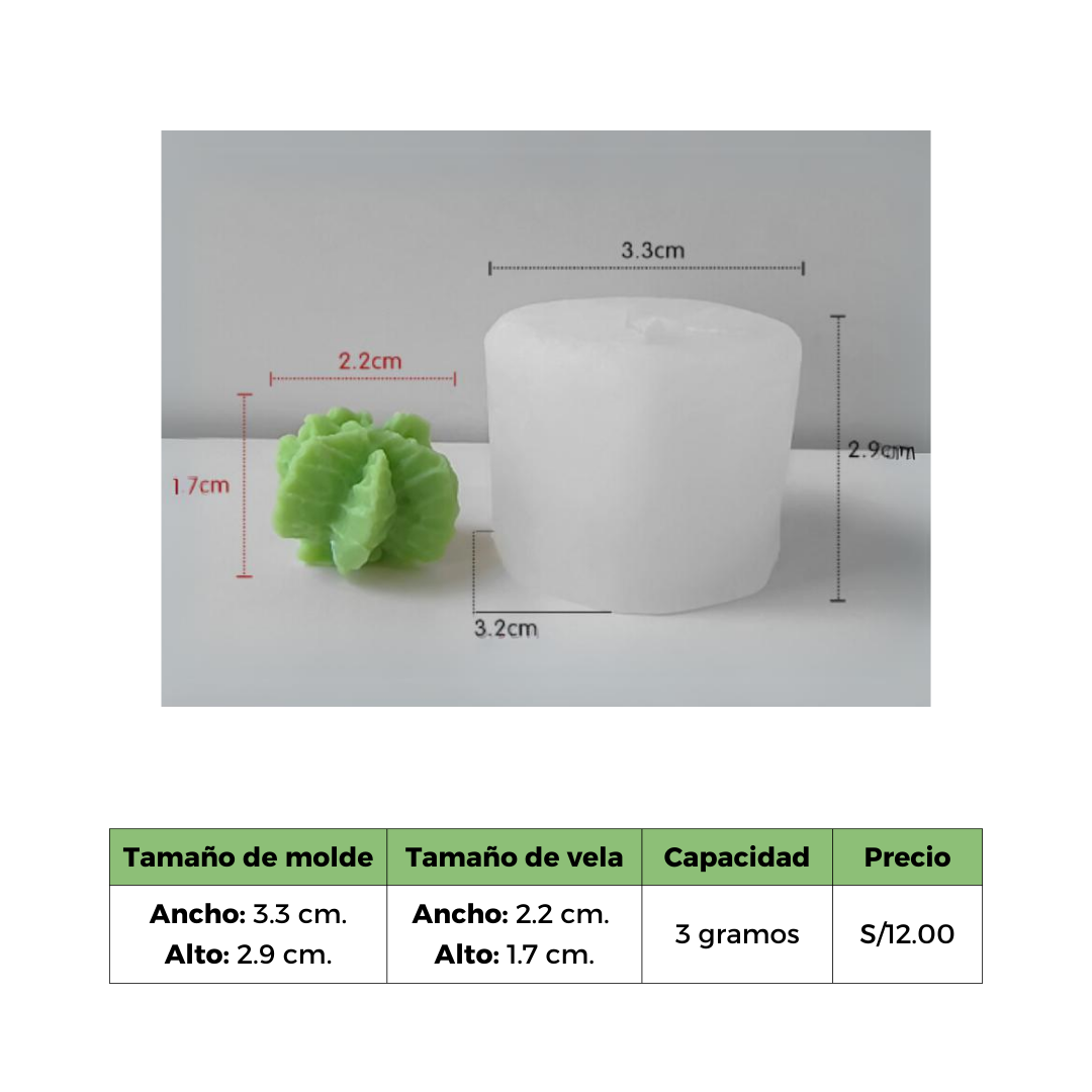 CACTUS 3 MOLDE
