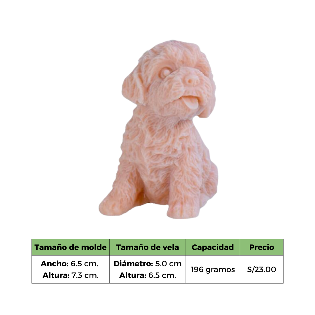 DOG 1 MOLDE