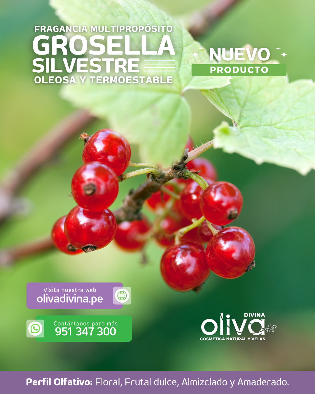 GROSELLA SILVESTRE FRAGANCIA COSMÉTICA