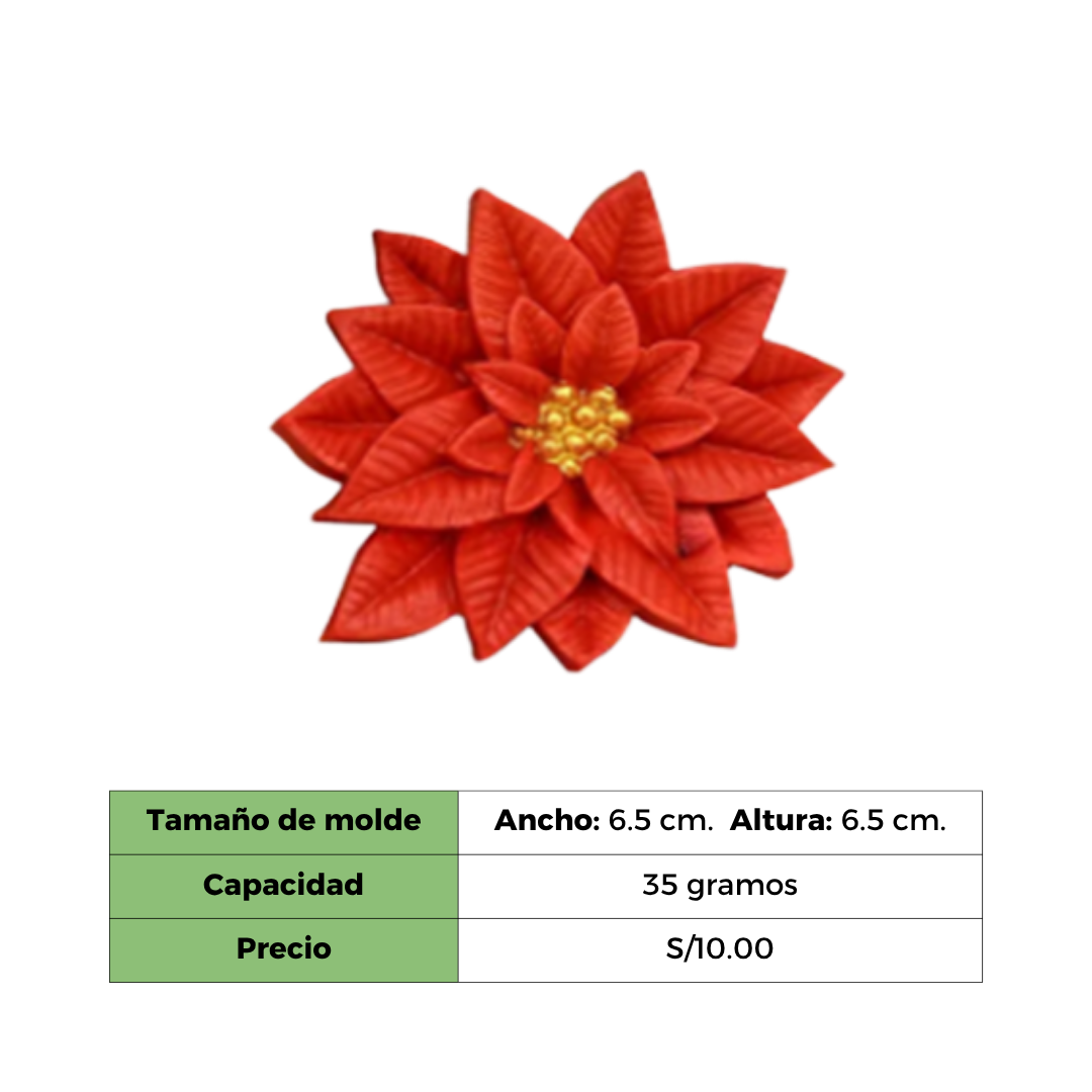 FLOR DE PASCUA  - MOLDE